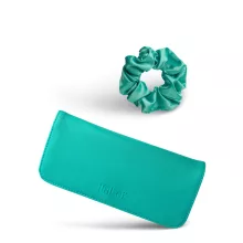 Brush case