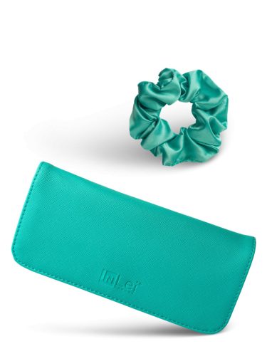 Brush case