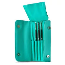 Brush case