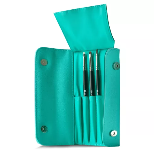 Brush case