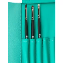 Brush case