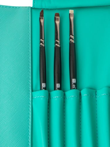 Brush case