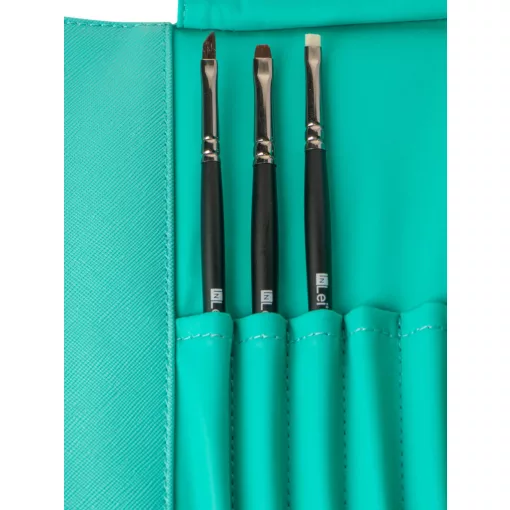 Brush case