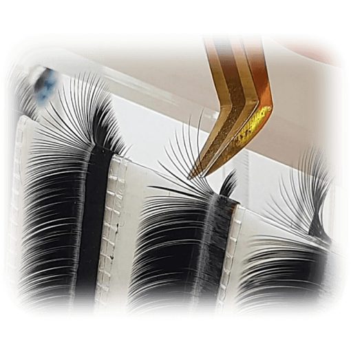 Lash fan machine