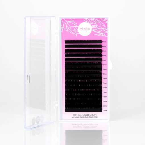 SUNRISE EYELASHES - BLACK / 0.06 / D