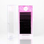 Sunrise - BLACK LASHES