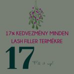 december 17. vége